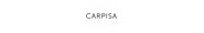 Carpisa